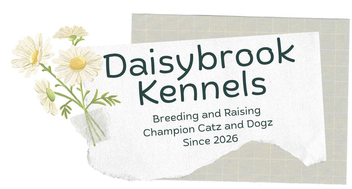 Daisybrook Kennels Header